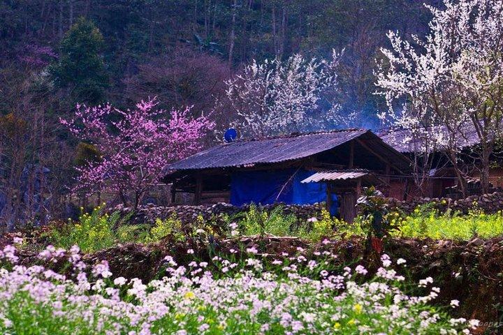 Luxury Tour: Hanoi - Ha Giang 2 nights 2 days