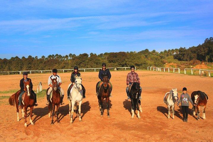 Marrakech Horse Riding