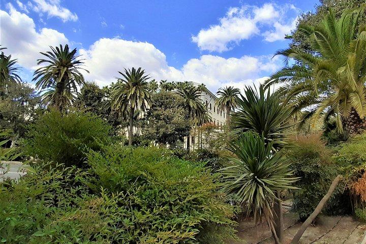 Malaga: Alcazaba & Roman Theater / group walking Tour