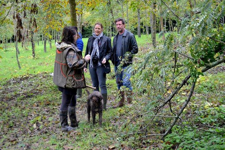 Full-Day Small-Group Truffle Hunting in Tuscany with Lunch
