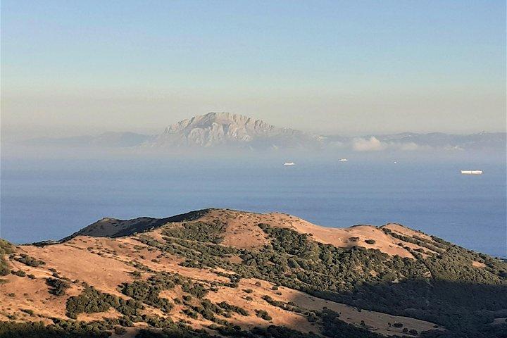 Gibraltar private trip from Marbella or Malaga