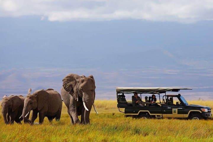 7 Days Breathtaking Kenya Wildlife Private Safari