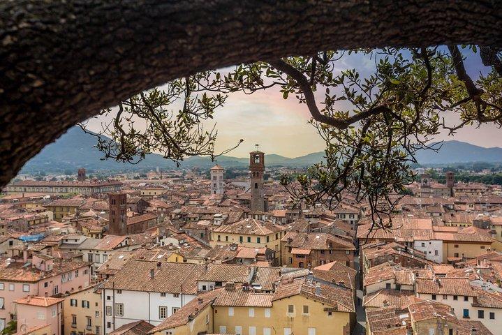 Private car trip to Lucca and Pisa from Florence (8 h)