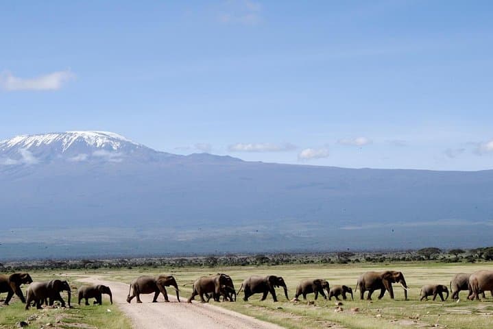 6 Days Amboseli, Lake Naivasha & Masai Mara Safari on 4x4 Jeep