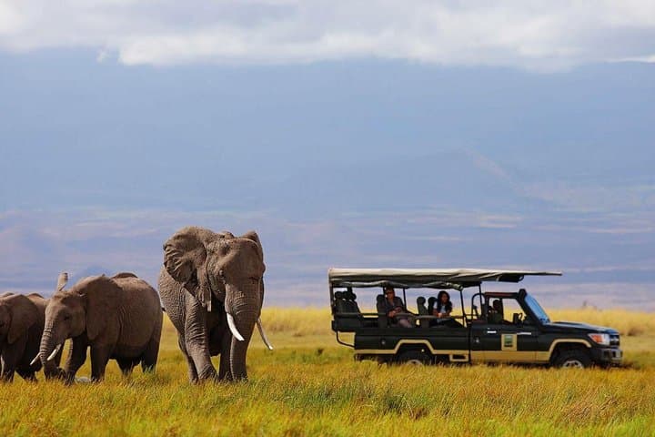 6 Days Amboseli, Lake Naivasha & Masai Mara Safari on 4x4 Jeep