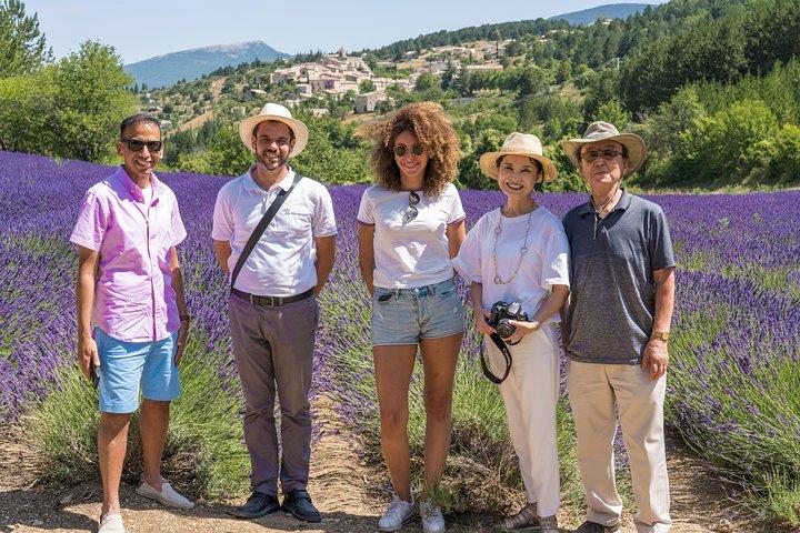Lavender Small-Group Tour In Valensole from Marseille