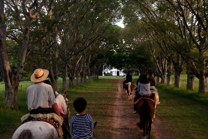 Estancia Day in Buenos Aires, Gaucho´s Party Tour