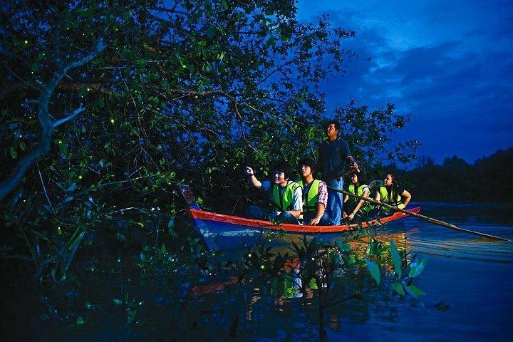 Amazing Kuala Selangor Fireflies Tour - Sic
