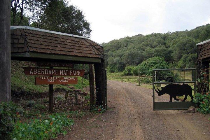 7 Days Breathtaking Kenya Wildlife Private Safari