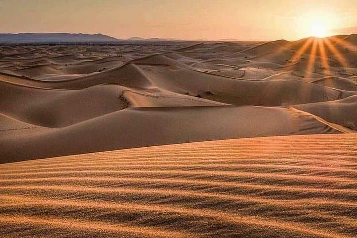 Morning Desert Safari