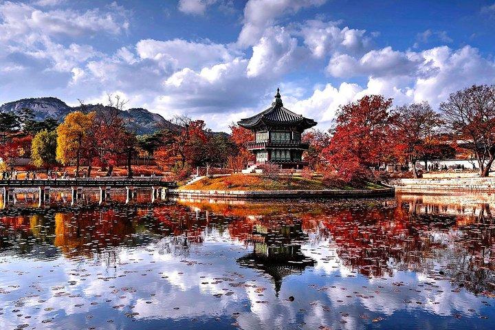 Private transport for 1 day Seoul tour