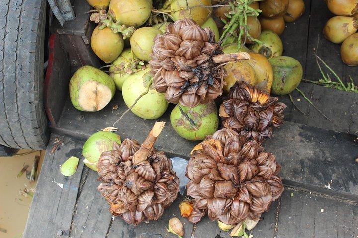 Small Group To Mekong Delta 1 Day