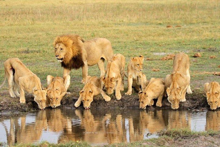 4 Days Mid-range Safari in Serengeti, Ngorongoro and Tarangire