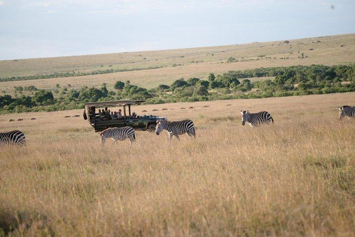7Days Ol Pejeta, Samburu, Nakuru & Masai Mara Luxury Safari