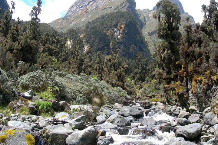 Private 5 Days Mount Kenya, Lake Nakuru & Masai Mara Wildlife Safari