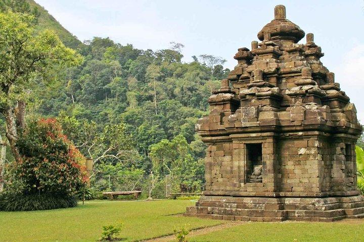 Yogyakarta: Selogriyo Rice Terraces Off The Beaten Track Trip