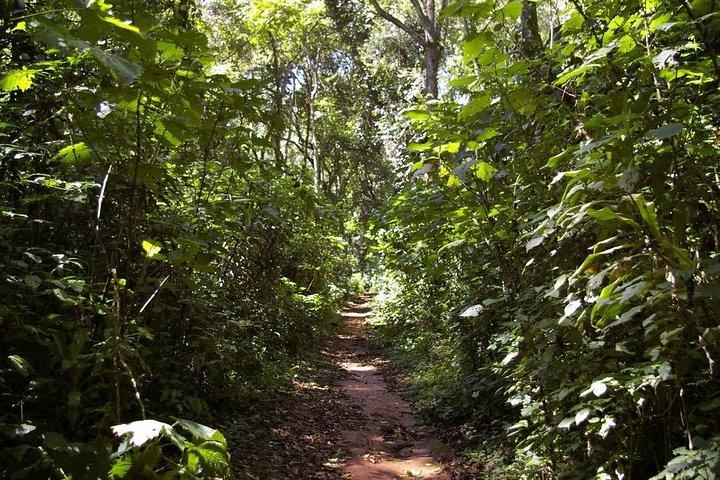 10 Days Kenya Cycling Safari Holiday