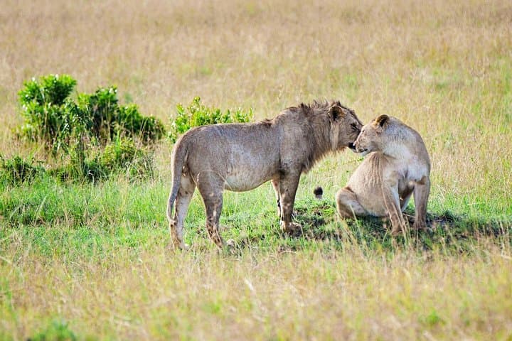 11 Days Kenya Cycling Biking Safari Adventures