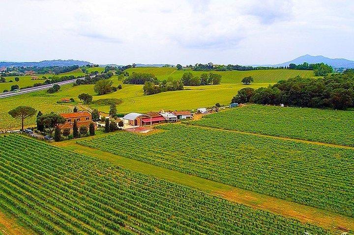 Enjoy a meal with wine tasting in the vineyard of Podere Casanova
