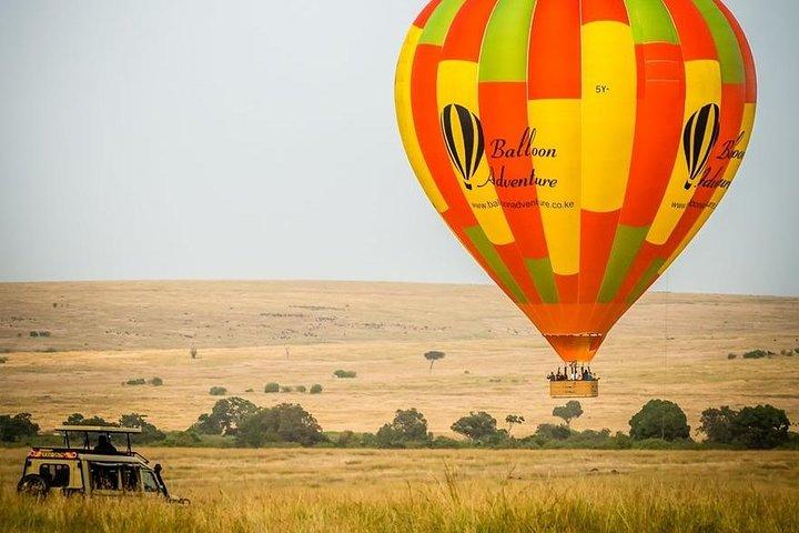 3 Days Masai Mara Wildlife private safari - Mid range budget