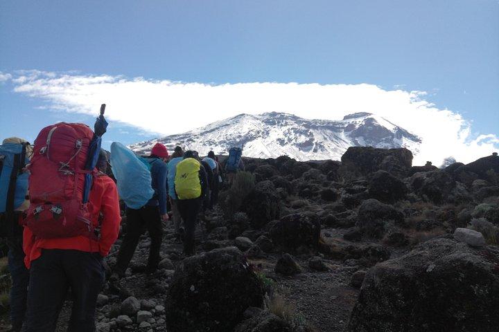 7 days Lemosho route Climbing Mt.Kilimanjaro