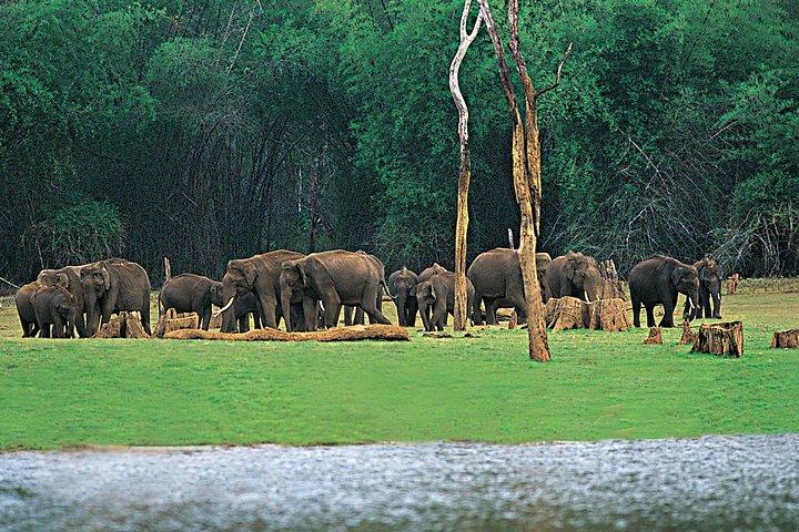 5 Days Kerala Tour Package With 4 Star Stays & Private Houseboat