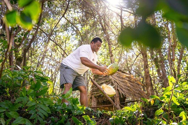Polynesian Cultural ATV Tour in Kona