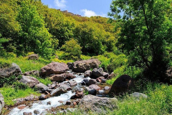 Marrakech:Imlil Valley and Atlas Mountains Day Trip