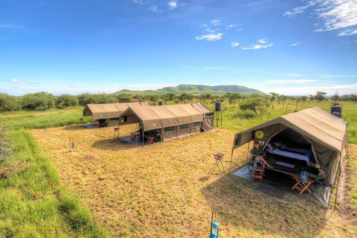 7 Days Kenya budget safari, Amboseli, Aberdares, Lake Nakuru, Masai Mara Budget