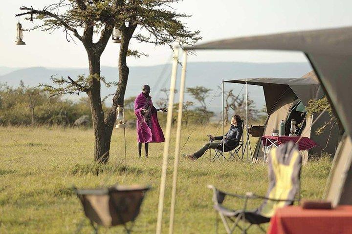 4 Days Budget Tanzania Action Safari