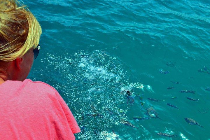 Musandam Khasab Day Trip and Dhow Cruise from With transfer from Dubai