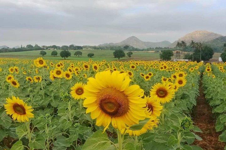 Khao Yai One Day tour 4-5 Persons