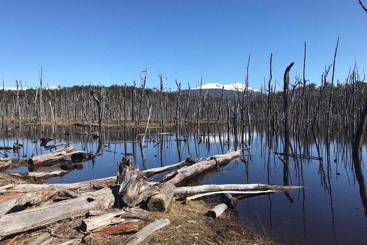 7-Hour Lakes Escondido & Fagnano - USHUAIA (Shared tour)