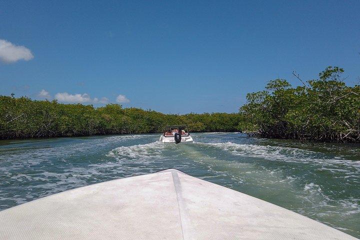 Speedboat and snorkel tour: Single Passenger Boat