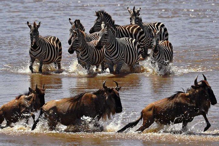 16 Days Kenya and Tanzania Safari Holiday