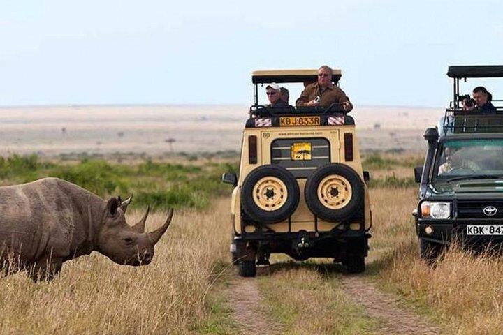 5 Days Ol pejeta, Lake Naivasha & Masai Mara Private Safari