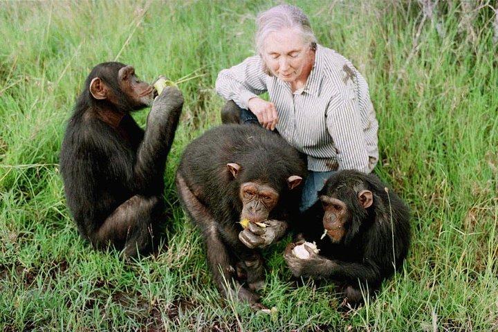5 Days Aberdares, Ol Pejeta & Samburu Luxury Safari on 4x4 Jeep