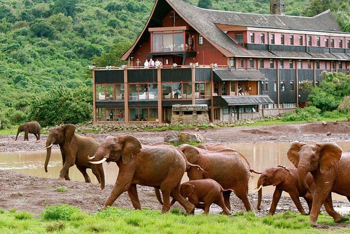 Private 7 Days Samburu Ol pejeta Lake Nakuru Lake Naivasha and Masai Mara Safari