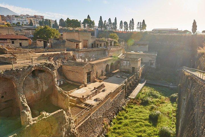 Guided Day Tour of Pompeii and Herculaneum with Light Lunch