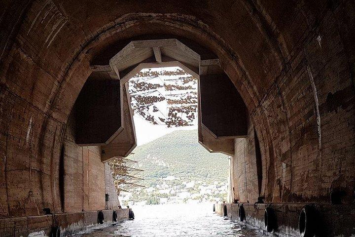 Speed Boat Trip: Kotor Bay attraction , Blue Cave and beach time