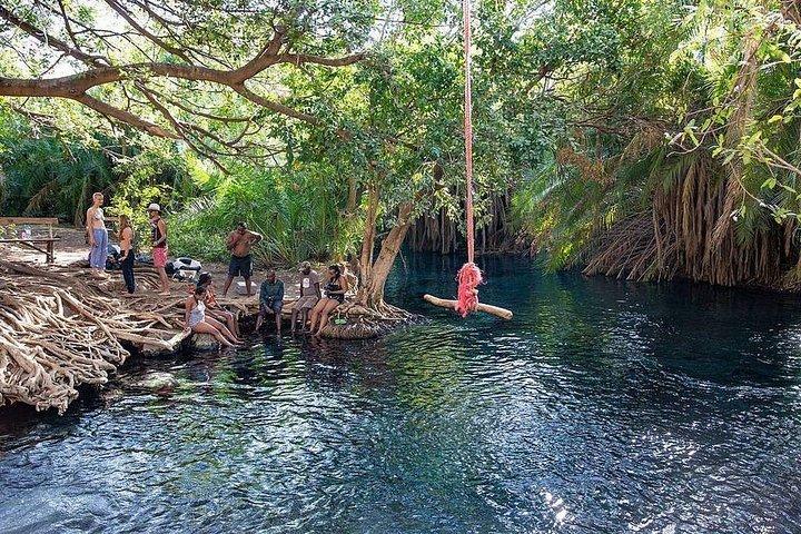 Kikuletwa Hotspring Day Trip