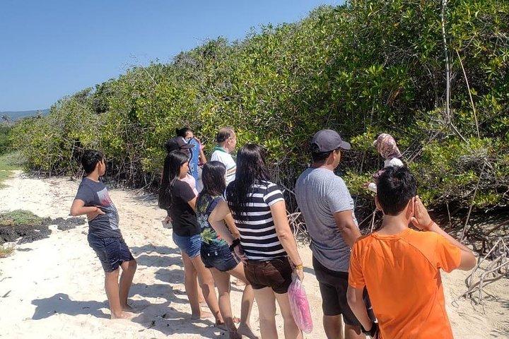 Private Santa Cruz Tour | Tortuga Bay Beach & Darwin Station