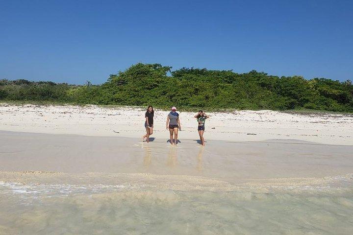 Private Santa Cruz Tour | Tortuga Bay Beach & Darwin Station