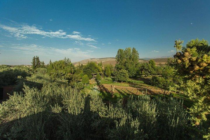 Ourika Garden Guided Day Trip from Marrakech