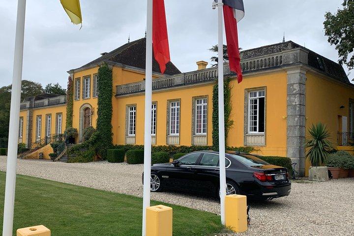 Private tour and visits on the Medoc Castle Route (Luxury Minivan)
