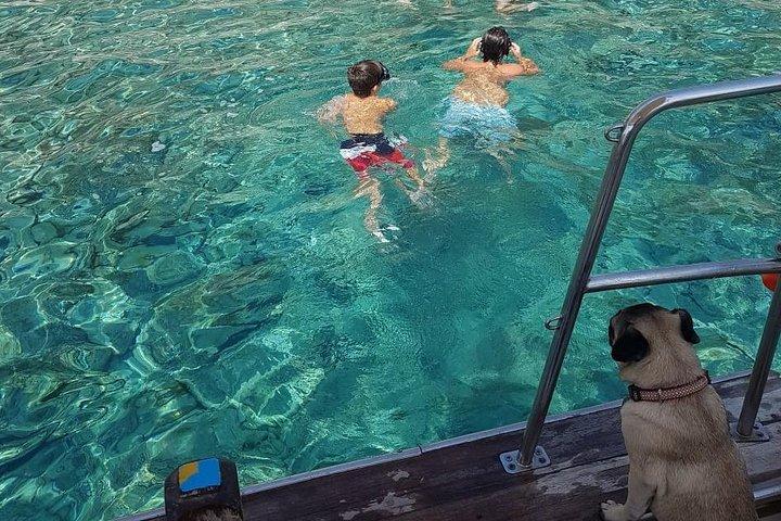 Fun vacation in the clear blue waters of the Saronic Gulf!
