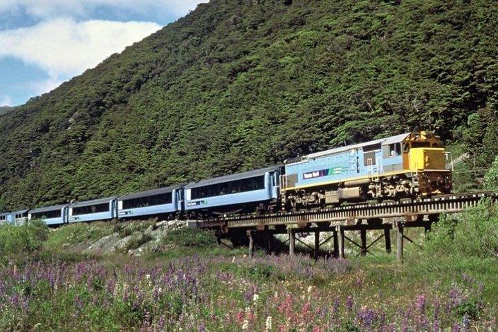 Arthur's Pass National Park Day Tour with TranzAlpine Train