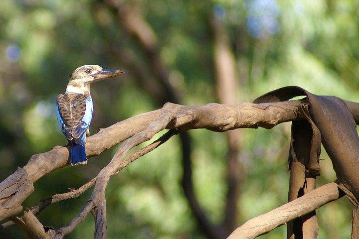 Ord River Cruise Experience with Riverside Lunch