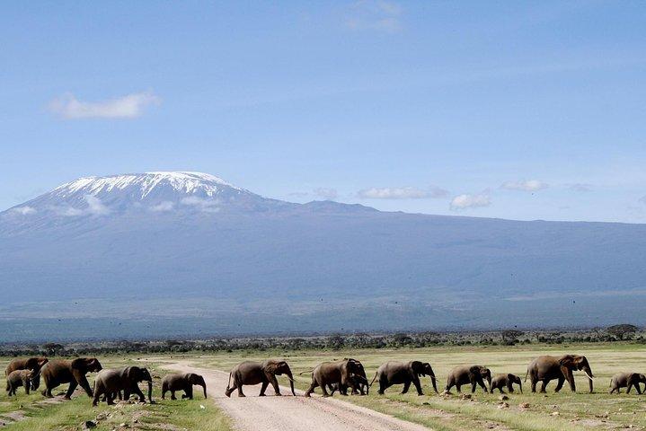 6 Days Amboseli Tsavo West & Taita Hills Safari