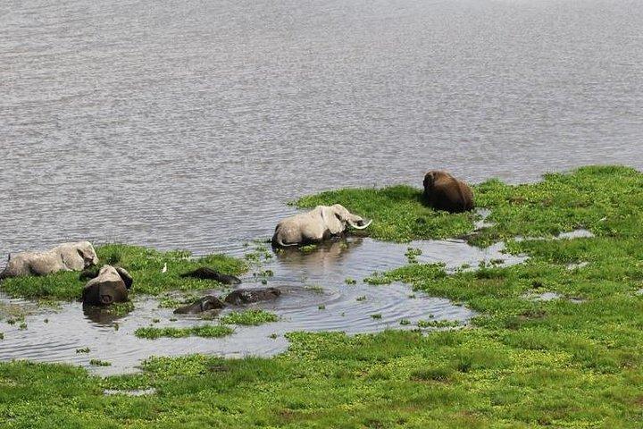 6 Days Amboseli Tsavo West & Taita Hills Safari